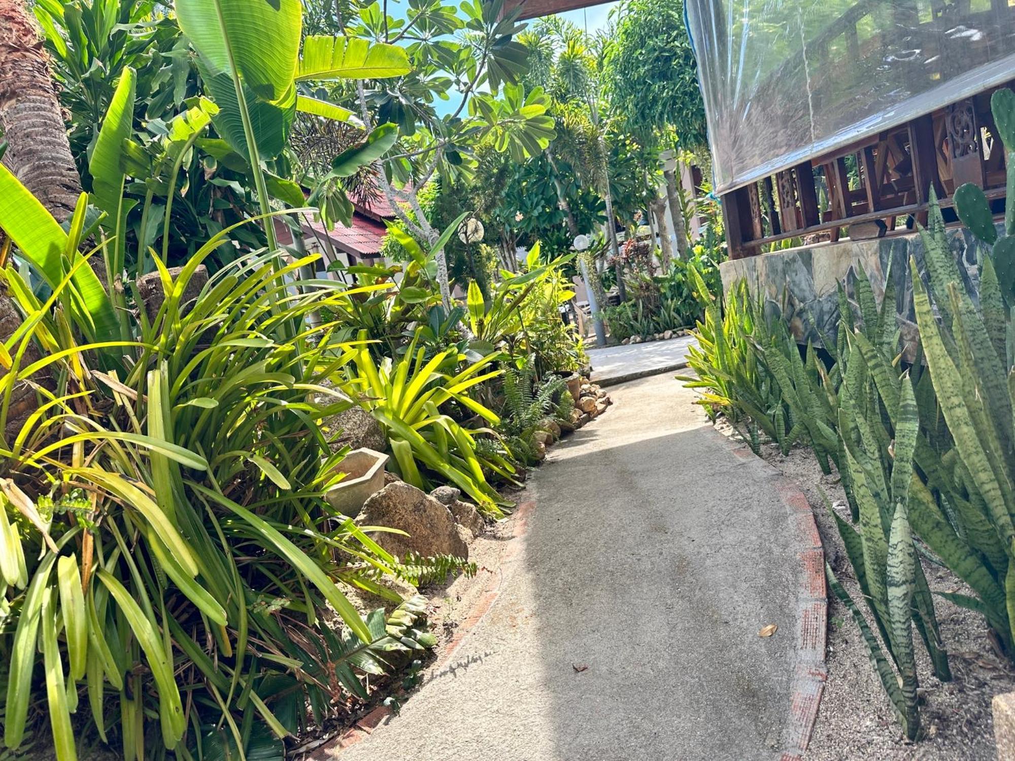 Phangan Lodge Baan Tai Luaran gambar